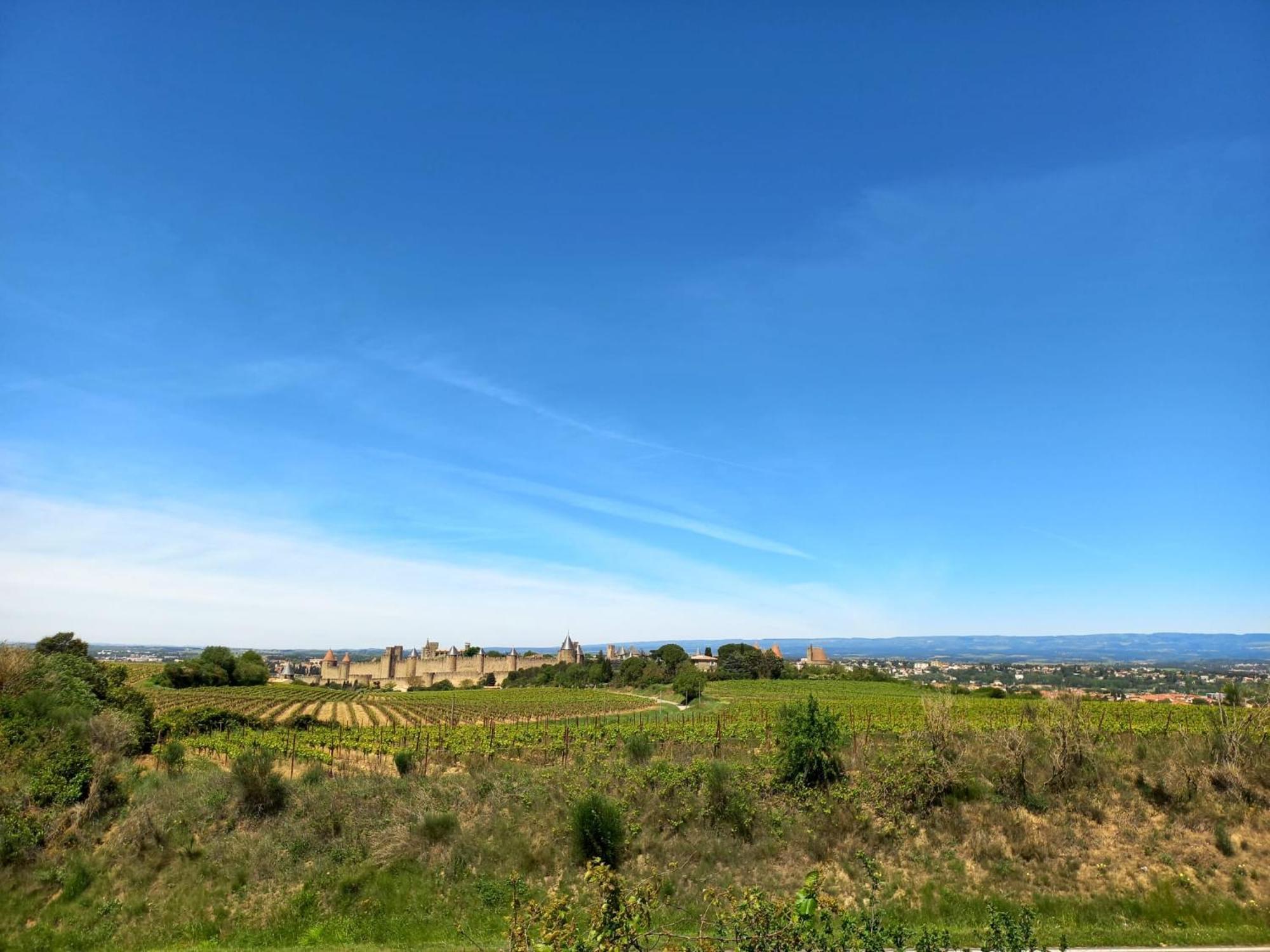 Gite With Private Jacuzzi, Shiatsu & Healthy Food Ladern-sur-Lauquet 外观 照片